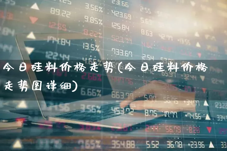 今日硅料价格走势(今日硅料价格走势图详细)_https://www.xzdzcjx.com_科创板_第1张