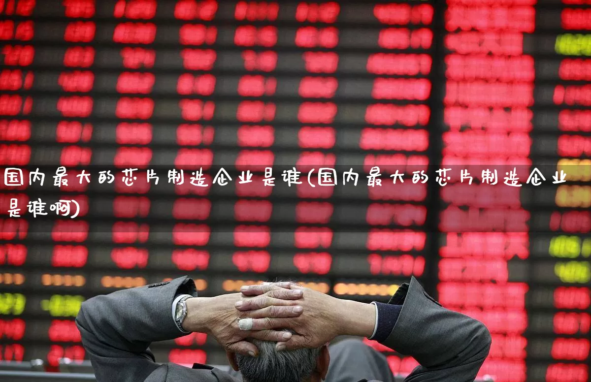 国内最大的芯片制造企业是谁(国内最大的芯片制造企业是谁啊)_https://www.xzdzcjx.com_创业板_第1张