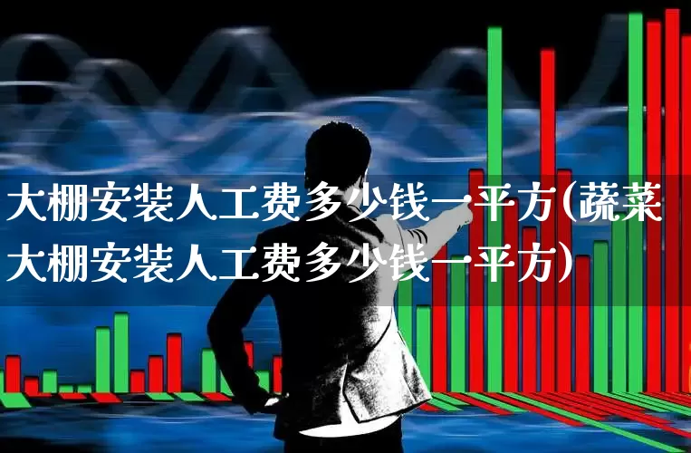 大棚安装人工费多少钱一平方(蔬菜大棚安装人工费多少钱一平方)_https://www.xzdzcjx.com_创业板_第1张