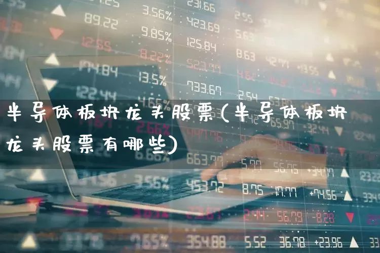 半导体板块龙头股票(半导体板块龙头股票有哪些)_https://www.xzdzcjx.com_上交所_第1张