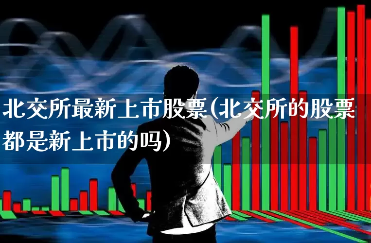 北交所最新上市股票(北交所的股票都是新上市的吗)_https://www.xzdzcjx.com_深交所_第1张