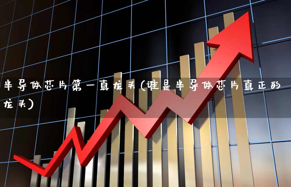 半导体芯片第一真龙头(谁是半导体芯片真正的龙头)_https://www.xzdzcjx.com_创业板_第1张