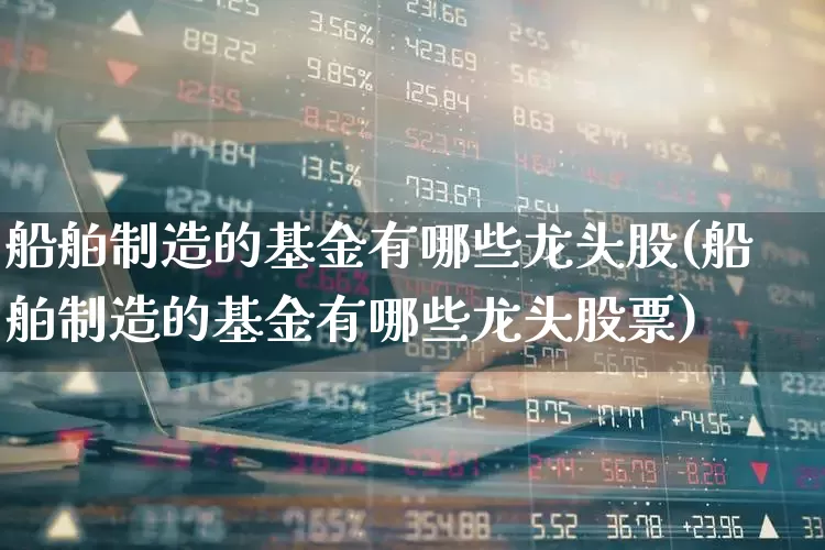 船舶制造的基金有哪些龙头股(船舶制造的基金有哪些龙头股票)_https://www.xzdzcjx.com_深交所_第1张