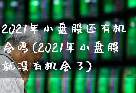 2021年小盘股还有机会吗(2021年小盘股就没有机会了)_https://www.xzdzcjx.com_北交所_第1张
