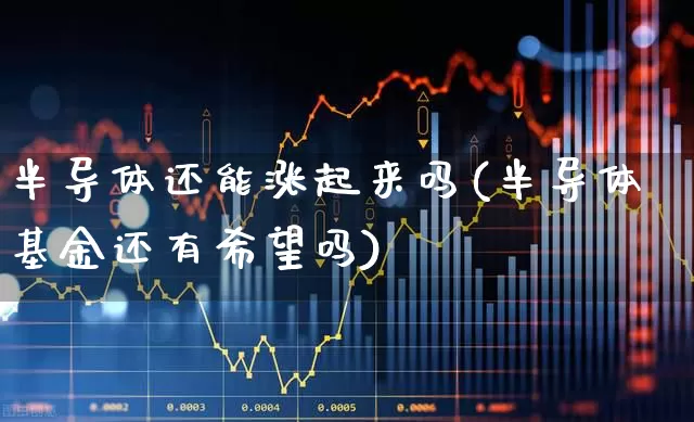 半导体还能涨起来吗(半导体基金还有希望吗)_https://www.xzdzcjx.com_北交所_第1张
