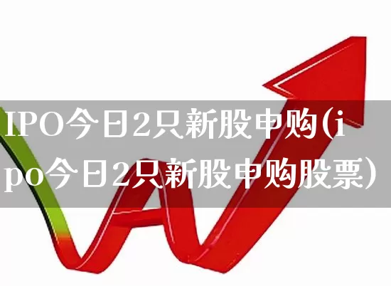 IPO今日2只新股申购(ipo今日2只新股申购股票)_https://www.xzdzcjx.com_上交所_第1张