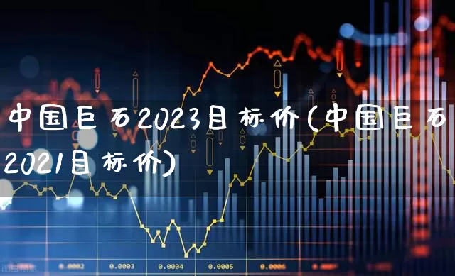 中国巨石2023目标价(中国巨石2021目标价)_https://www.xzdzcjx.com_深交所_第1张
