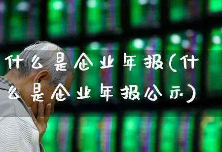 什么是企业年报(什么是企业年报公示)_https://www.xzdzcjx.com_北交所_第1张
