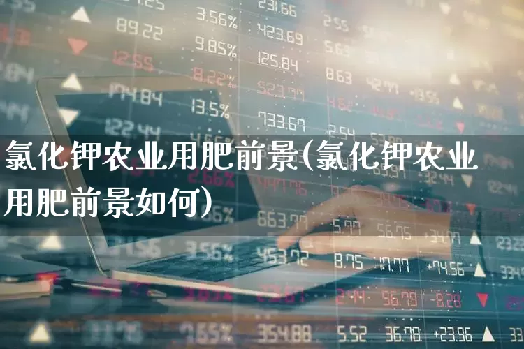 氯化钾农业用肥前景(氯化钾农业用肥前景如何)_https://www.xzdzcjx.com_上交所_第1张