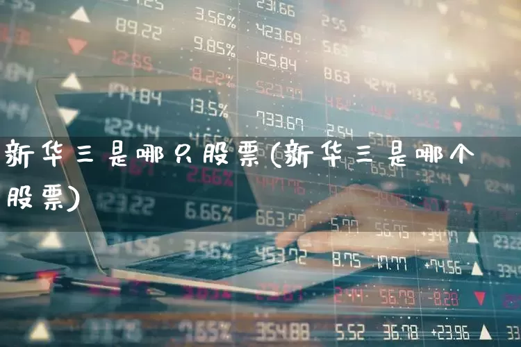 新华三是哪只股票(新华三是哪个股票)_https://www.xzdzcjx.com_深交所_第1张