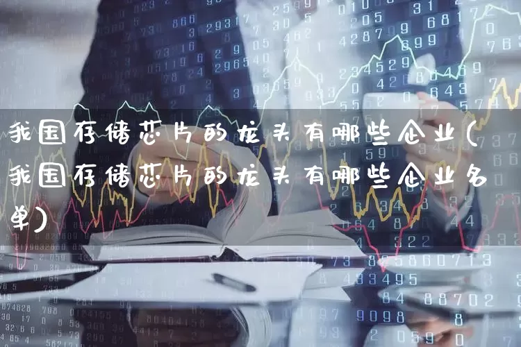 我国存储芯片的龙头有哪些企业(我国存储芯片的龙头有哪些企业名单)_https://www.xzdzcjx.com_上交所_第1张