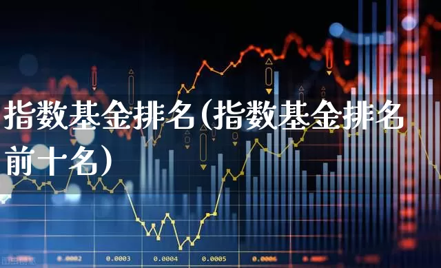 指数基金排名(指数基金排名前十名)_https://www.xzdzcjx.com_科创板_第1张