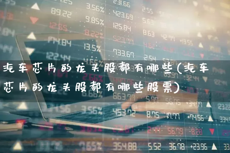 汽车芯片的龙头股都有哪些(汽车芯片的龙头股都有哪些股票)_https://www.xzdzcjx.com_创业板_第1张