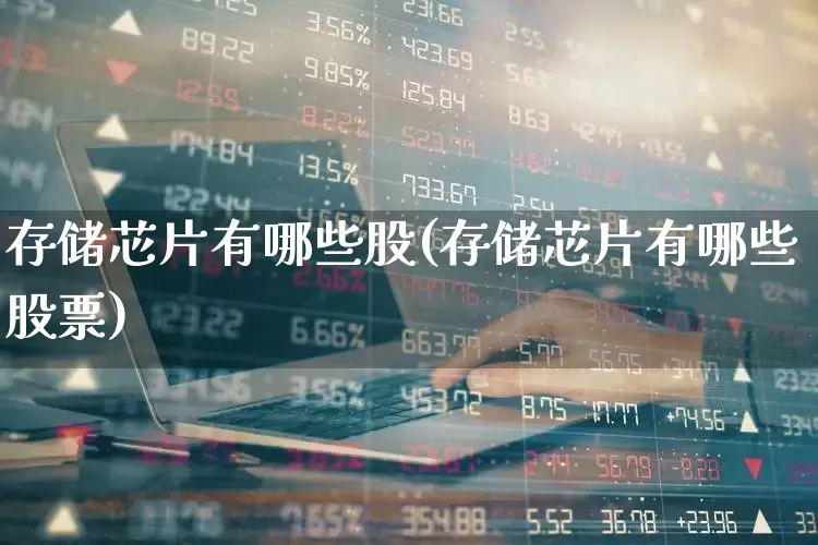 存储芯片有哪些股(存储芯片有哪些股票)_https://www.xzdzcjx.com_上交所_第1张