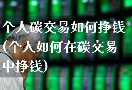 个人碳交易如何挣钱(个人如何在碳交易中挣钱)_https://www.xzdzcjx.com_上交所_第1张