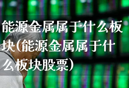 能源金属属于什么板块(能源金属属于什么板块股票)_https://www.xzdzcjx.com_北交所_第1张