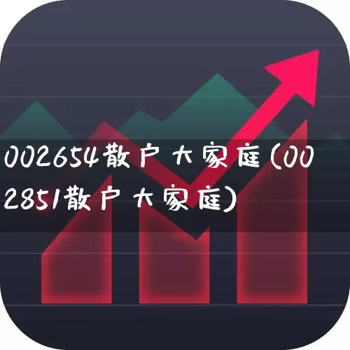 002654散户大家庭(002851散户大家庭)_https://www.xzdzcjx.com_北交所_第1张