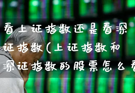 看上证指数还是看深证指数(上证指数和深证指数的股票怎么看)_https://www.xzdzcjx.com_北交所_第1张
