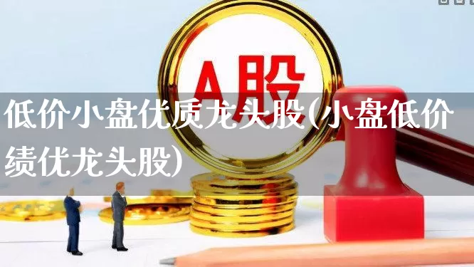 低价小盘优质龙头股(小盘低价绩优龙头股)_https://www.xzdzcjx.com_创业板_第1张