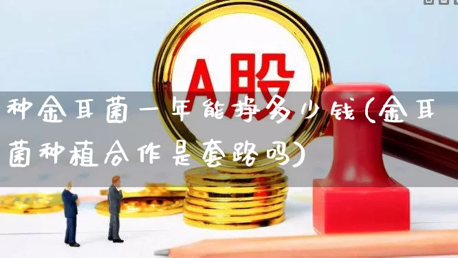 种金耳菌一年能挣多少钱(金耳菌种植合作是套路吗)_https://www.xzdzcjx.com_科创板_第1张