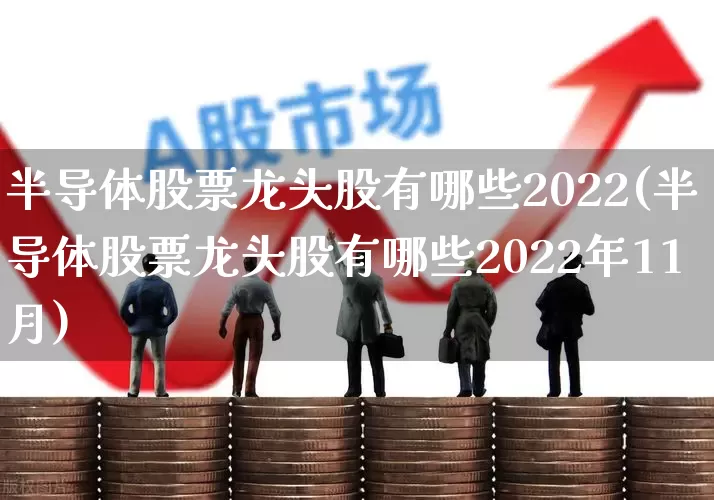 半导体股票龙头股有哪些2022(半导体股票龙头股有哪些2022年11月)_https://www.xzdzcjx.com_创业板_第1张