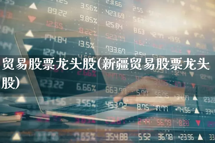 贸易股票龙头股(新疆贸易股票龙头股)_https://www.xzdzcjx.com_上交所_第1张