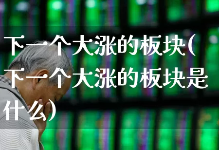 下一个大涨的板块(下一个大涨的板块是什么)_https://www.xzdzcjx.com_深交所_第1张
