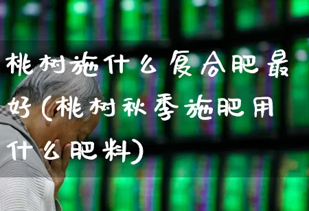 桃树施什么复合肥最好(桃树秋季施肥用什么肥料)_https://www.xzdzcjx.com_上交所_第1张