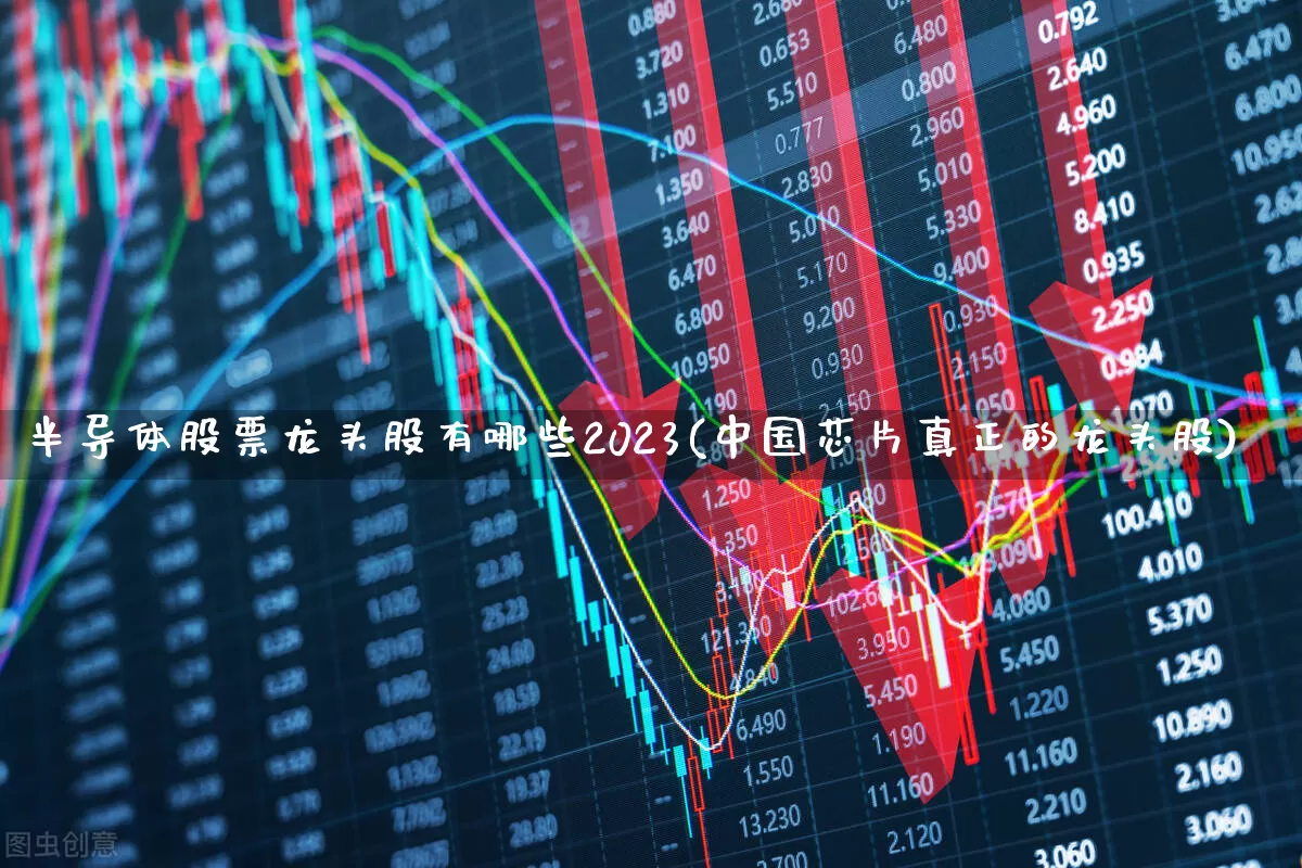 半导体股票龙头股有哪些2023(中国芯片真正的龙头股)_https://www.xzdzcjx.com_科创板_第1张