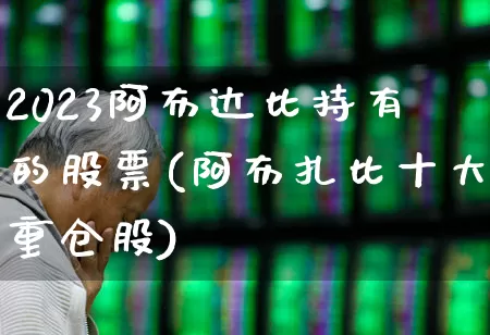 2023阿布达比持有的股票(阿布扎比十大重仓股)_https://www.xzdzcjx.com_创业板_第1张