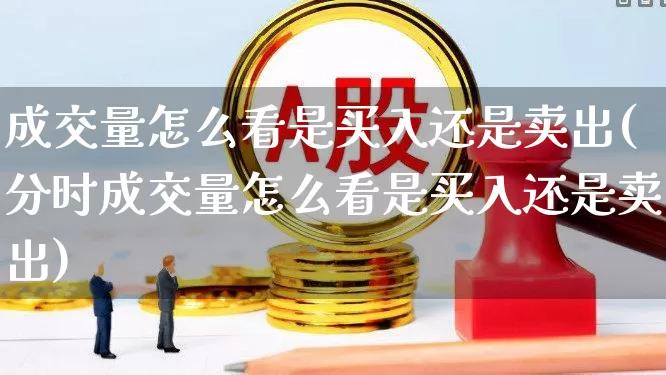 成交量怎么看是买入还是卖出(分时成交量怎么看是买入还是卖出)_https://www.xzdzcjx.com_北交所_第1张