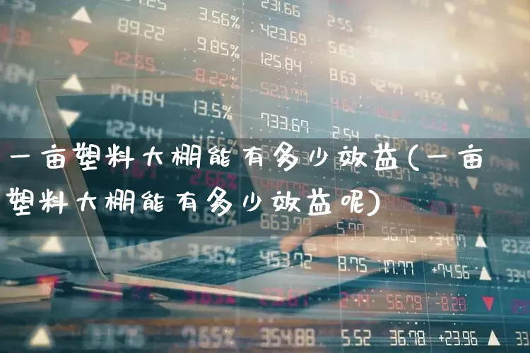 一亩塑料大棚能有多少效益(一亩塑料大棚能有多少效益呢)_https://www.xzdzcjx.com_上交所_第1张