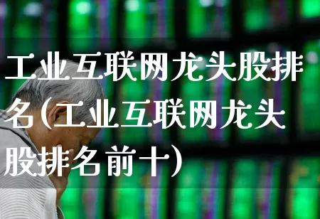 工业互联网龙头股排名(工业互联网龙头股排名前十)_https://www.xzdzcjx.com_科创板_第1张