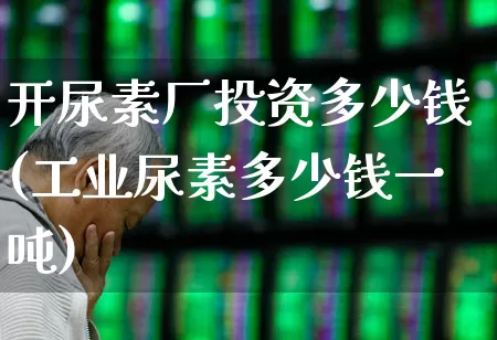 开尿素厂投资多少钱(工业尿素多少钱一吨)_https://www.xzdzcjx.com_科创板_第1张