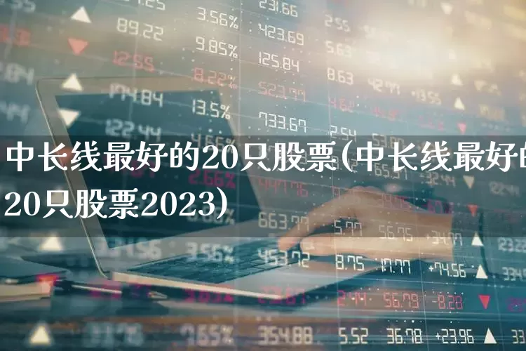 中长线最好的20只股票(中长线最好的20只股票2023)_https://www.xzdzcjx.com_深交所_第1张