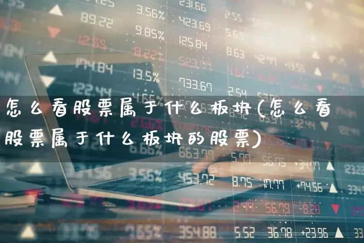怎么看股票属于什么板块(怎么看股票属于什么板块的股票)_https://www.xzdzcjx.com_创业板_第1张