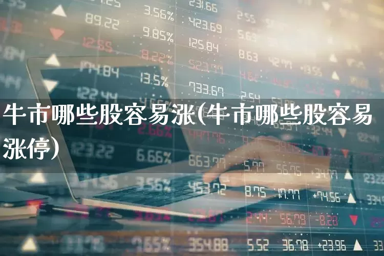 牛市哪些股容易涨(牛市哪些股容易涨停)_https://www.xzdzcjx.com_北交所_第1张