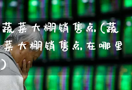 蔬菜大棚销售点(蔬菜大棚销售点在哪里)_https://www.xzdzcjx.com_创业板_第1张