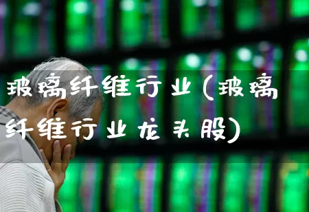 玻璃纤维行业(玻璃纤维行业龙头股)_https://www.xzdzcjx.com_上交所_第1张