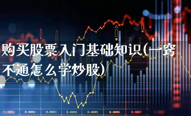 购买股票入门基础知识(一窍不通怎么学炒股)_https://www.xzdzcjx.com_科创板_第1张