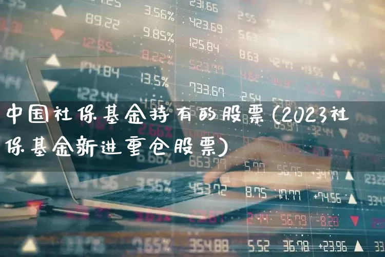 中国社保基金持有的股票(2023社保基金新进重仓股票)_https://www.xzdzcjx.com_北交所_第1张
