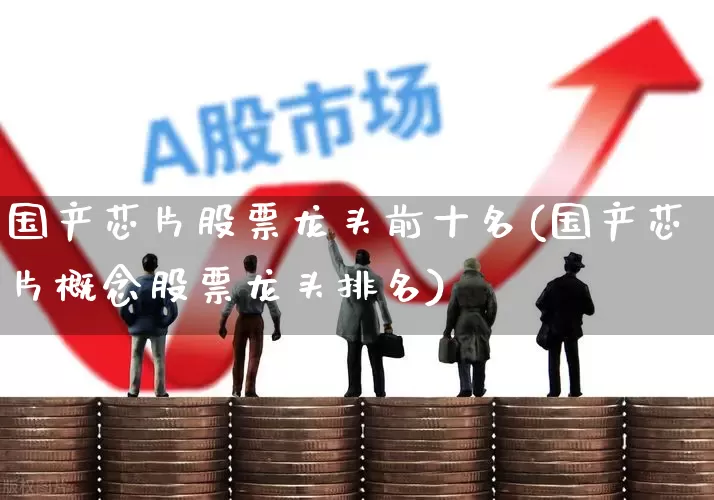 国产芯片股票龙头前十名(国产芯片概念股票龙头排名)_https://www.xzdzcjx.com_科创板_第1张