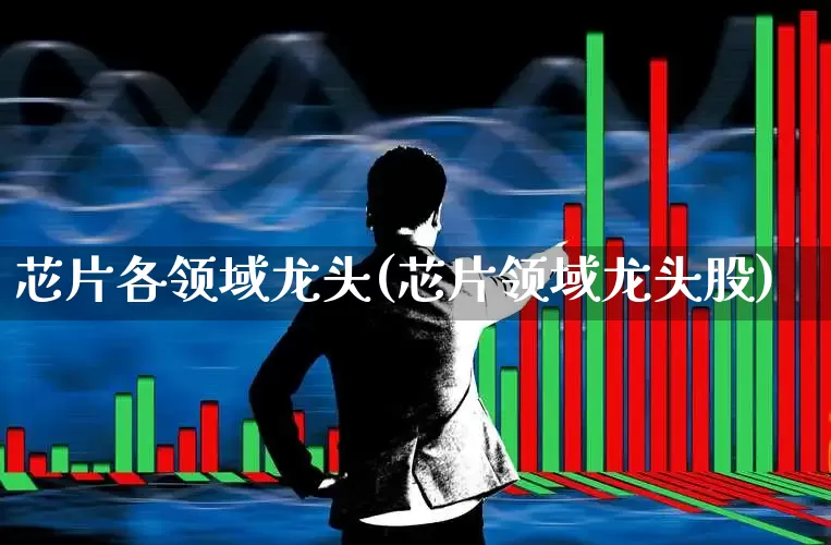 芯片各领域龙头(芯片领域龙头股)_https://www.xzdzcjx.com_上交所_第1张