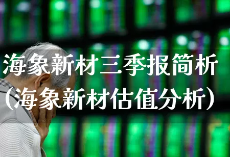 海象新材三季报简析(海象新材估值分析)_https://www.xzdzcjx.com_上交所_第1张