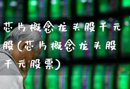 芯片概念龙头股千元股(芯片概念龙头股千元股票)_https://www.xzdzcjx.com_科创板_第1张
