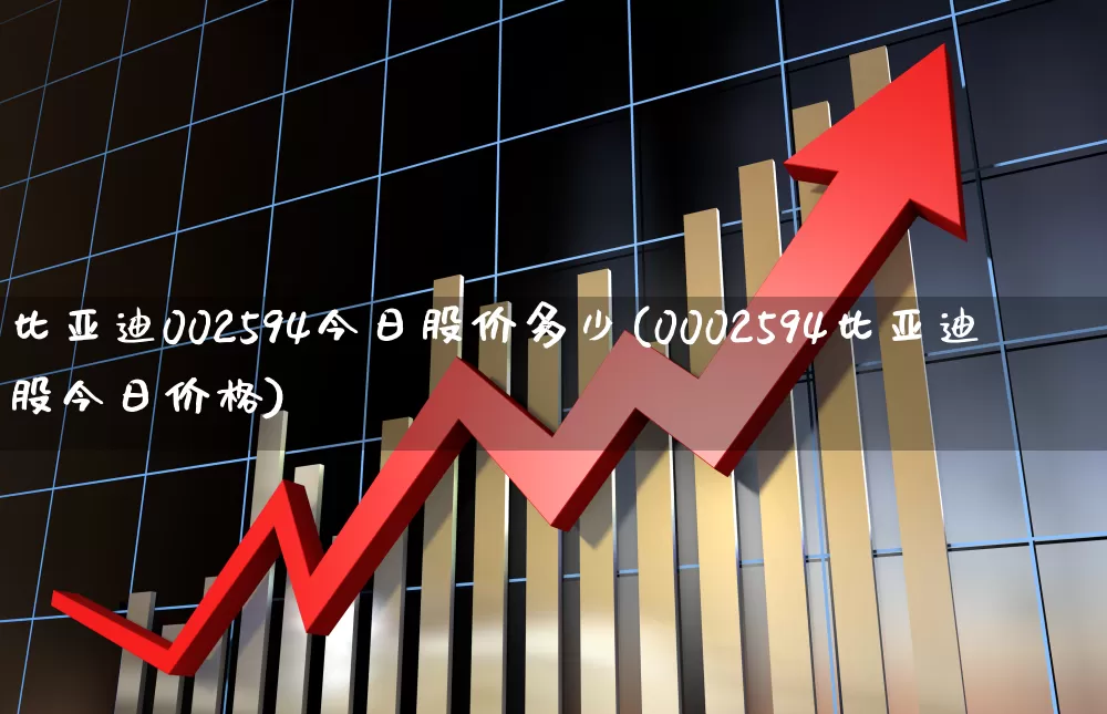 比亚迪002594今日股价多少(0002594比亚迪股今日价格)_https://www.xzdzcjx.com_深交所_第1张