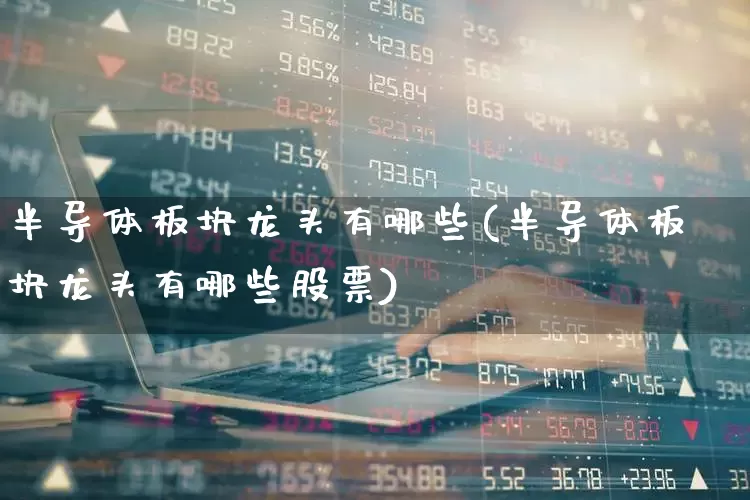 半导体板块龙头有哪些(半导体板块龙头有哪些股票)_https://www.xzdzcjx.com_北交所_第1张