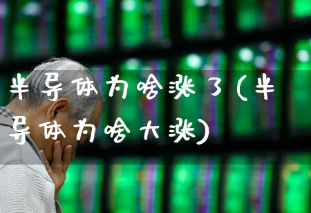 半导体为啥涨了(半导体为啥大涨)_https://www.xzdzcjx.com_创业板_第1张
