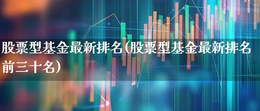 股票型基金最新排名(股票型基金最新排名前三十名)_https://www.xzdzcjx.com_深交所_第1张