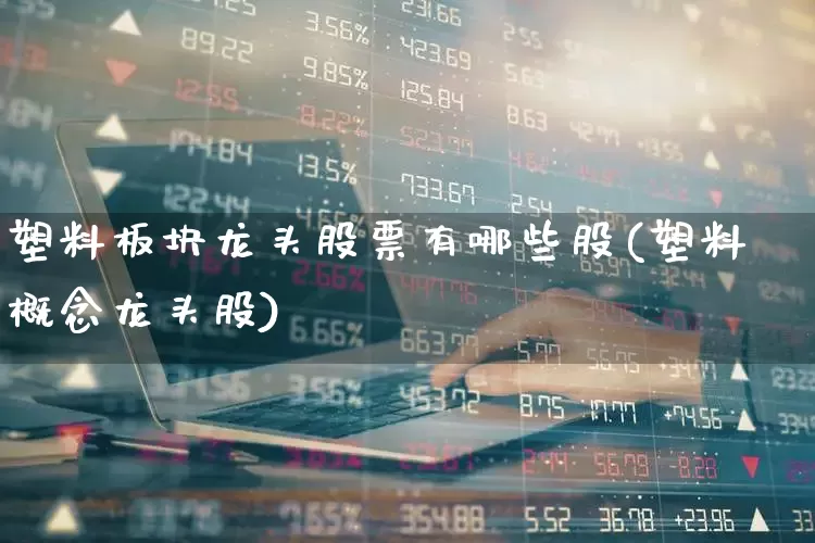 塑料板块龙头股票有哪些股(塑料概念龙头股)_https://www.xzdzcjx.com_北交所_第1张